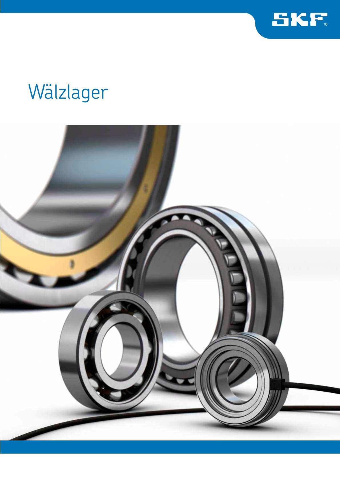 Wälzlager
